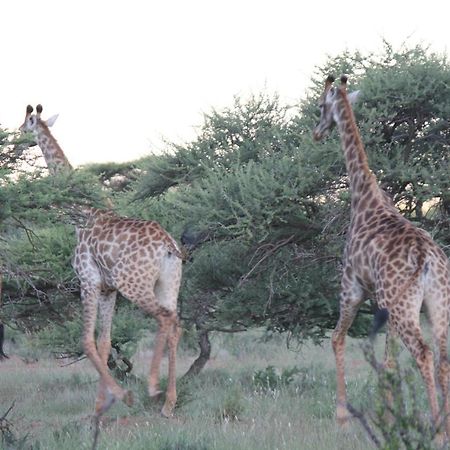 Heuningneskloof Wag N Bietjie Bush Lodge מראה חיצוני תמונה