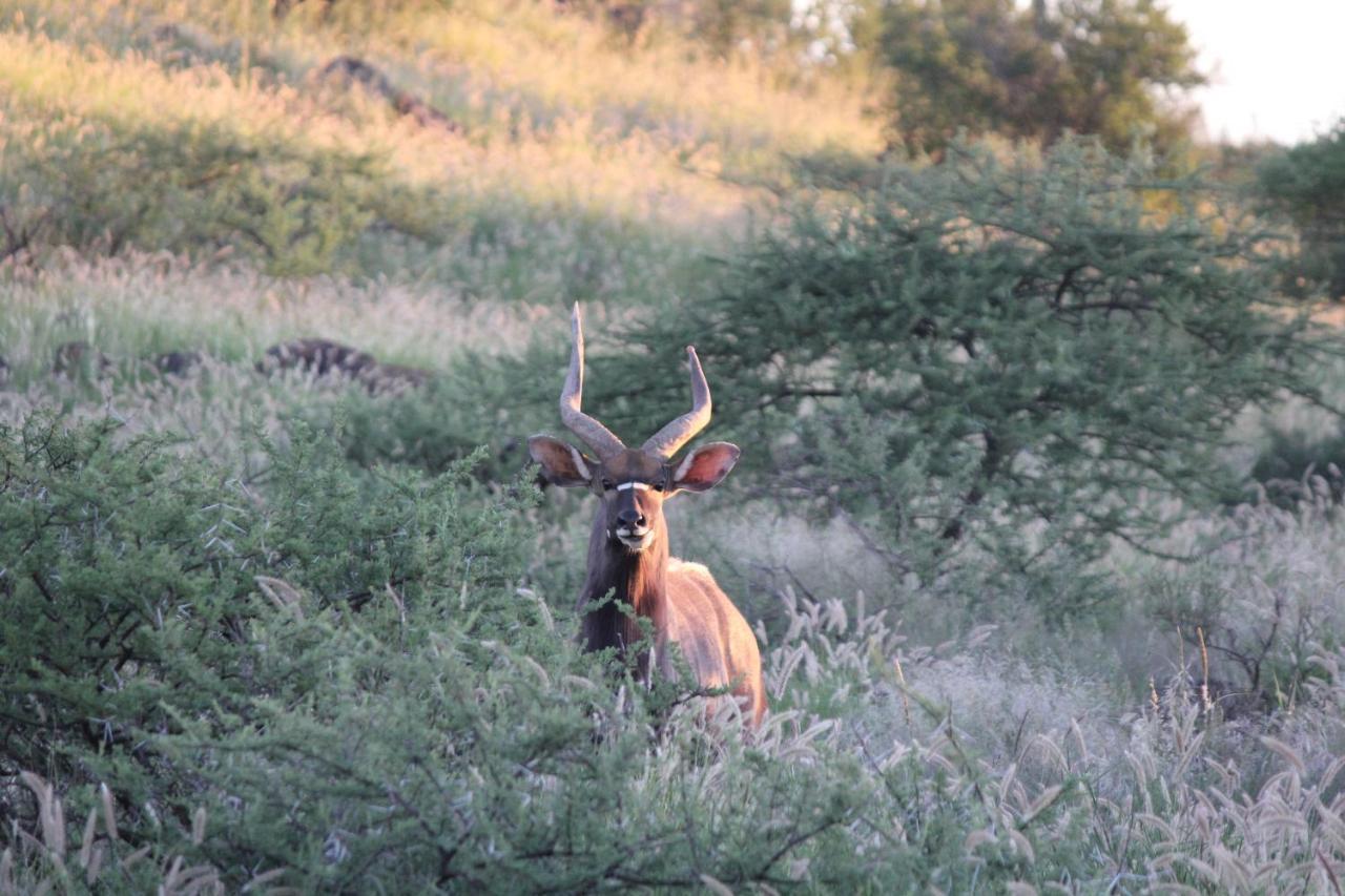Heuningneskloof Wag N Bietjie Bush Lodge מראה חיצוני תמונה