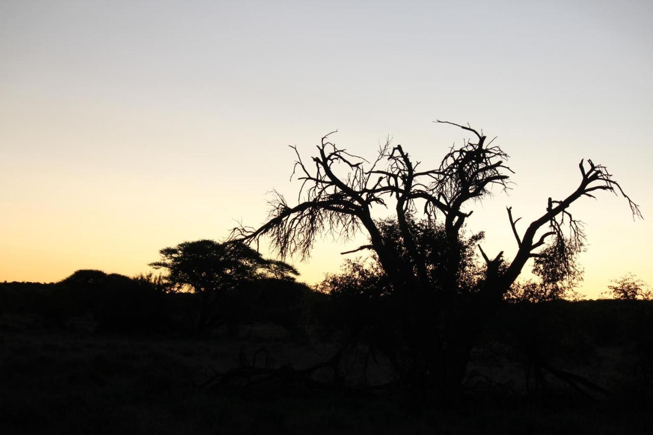 Heuningneskloof Wag N Bietjie Bush Lodge מראה חיצוני תמונה
